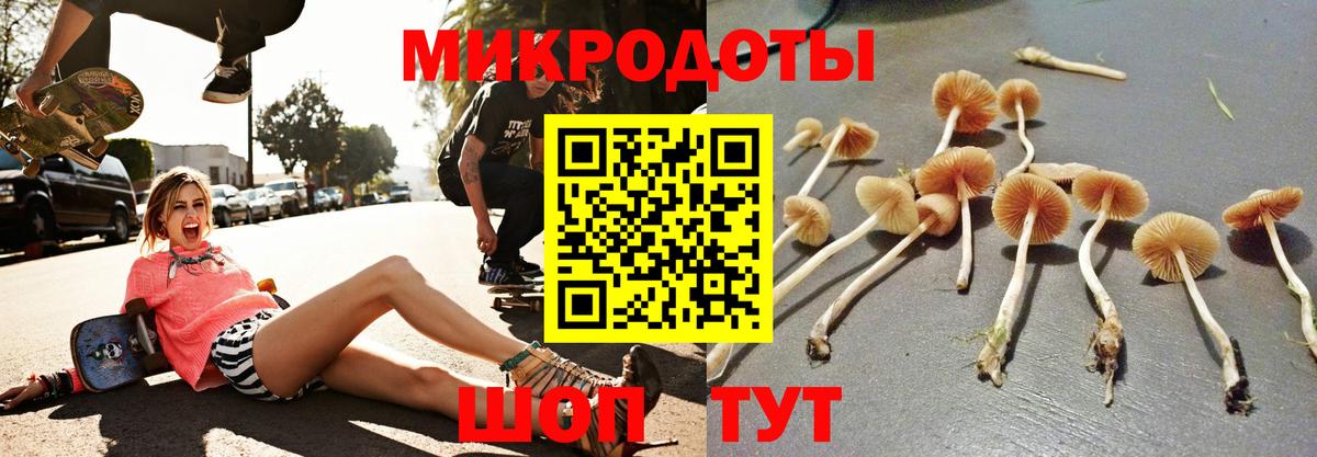 Псилоцибиновые грибы ЛСД  Вход с VPN  Галлюциногенные грибы ЛСД  Тихвин 